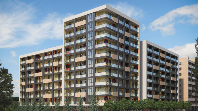 ახალი ხელწერა ახალ პროექტში „ჰოუმერ ალფა“